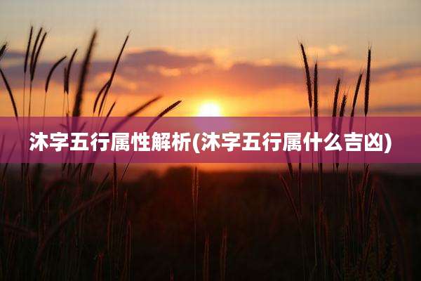 沐字五行属性解析(沐字五行属什么吉凶)