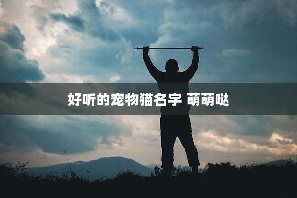 好听的宠物猫名字 萌萌哒