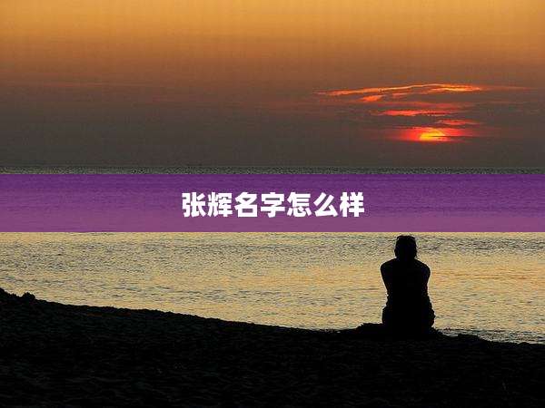 张辉名字怎么样