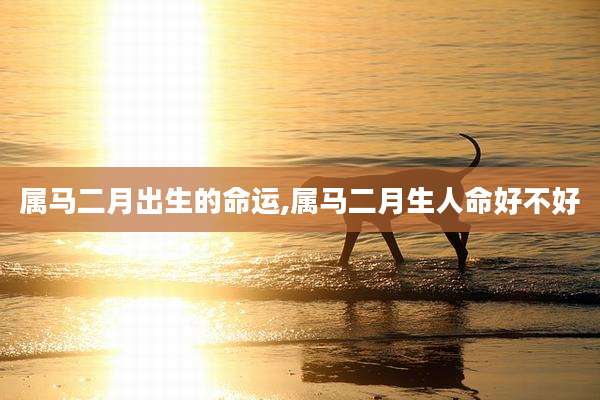 属马二月出生的命运,属马二月生人命好不好