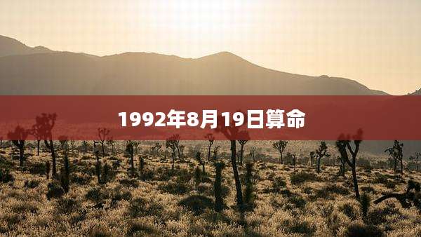 1992年8月19日算命