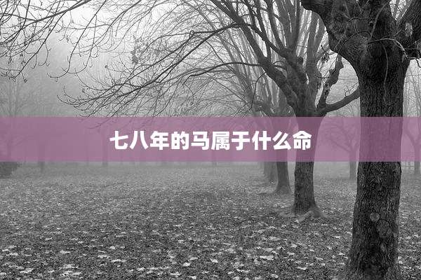 七八年的马属于什么命