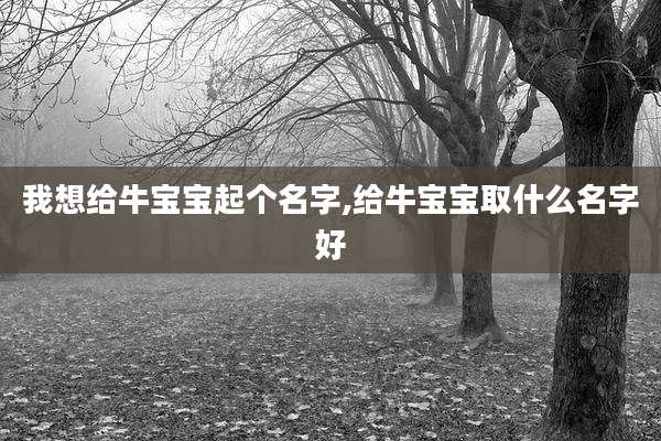 我想给牛宝宝起个名字,给牛宝宝取什么名字好