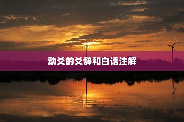 动爻的爻辞和白话注解