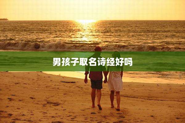 男孩子取名诗经好吗