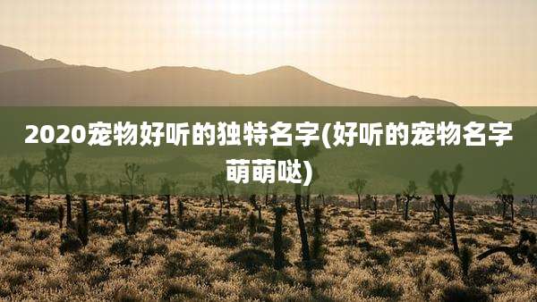 2020宠物好听的独特名字(好听的宠物名字萌萌哒)