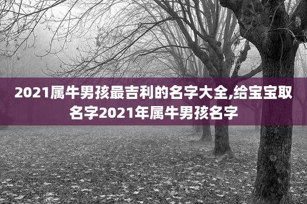 2021属牛男孩最吉利的名字大全,给宝宝取名字2021年属牛男孩名字