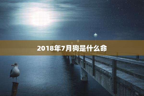 2018年7月狗是什么命