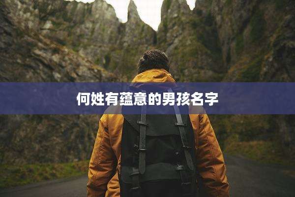 何姓有蕴意的男孩名字