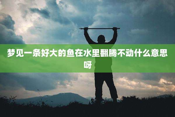 梦见一条好大的鱼在水里翻腾不动什么意思呀