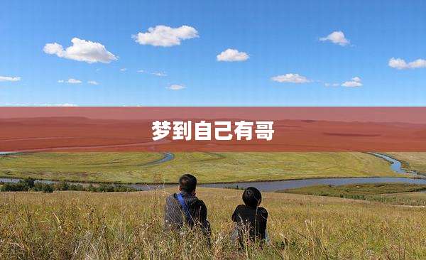 梦到自己有哥
