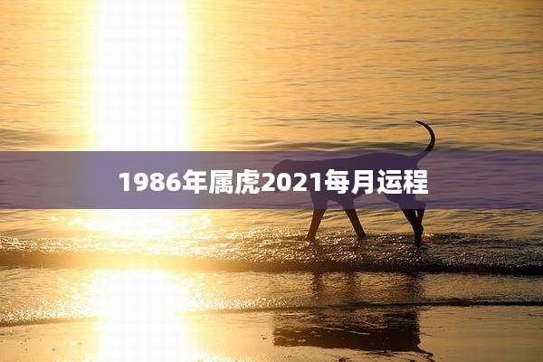 1986年属虎2021每月运程