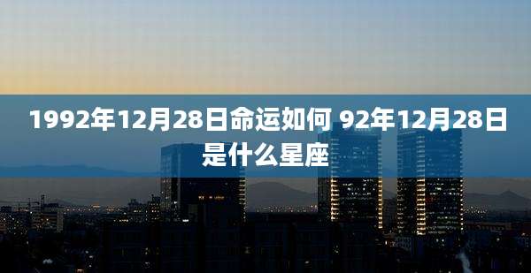 1992年12月28日命运如何 92年12月28日是什么星座