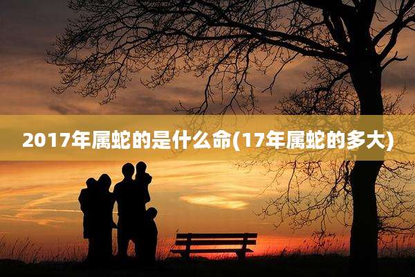 2017年属蛇的是什么命(17年属蛇的多大)