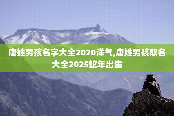唐姓男孩名字大全2020洋气,唐姓男孩取名大全2025蛇年出生