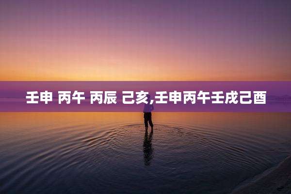 壬申 丙午 丙辰 己亥,壬申丙午壬戌己酉