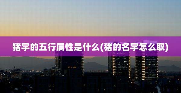 猪字的五行属性是什么(猪的名字怎么取)