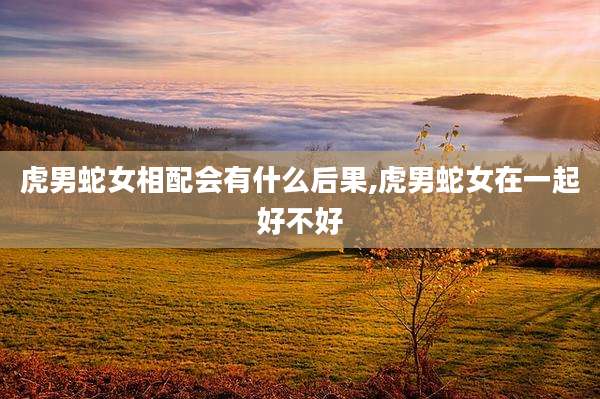 虎男蛇女相配会有什么后果,虎男蛇女在一起好不好