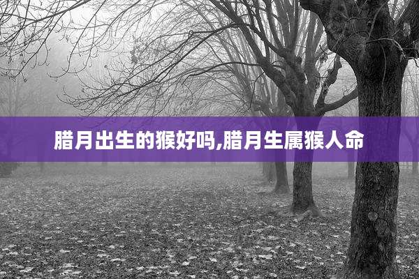 腊月出生的猴好吗,腊月生属猴人命