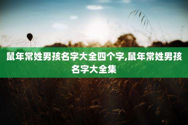 鼠年常姓男孩名字大全四个字,鼠年常姓男孩名字大全集