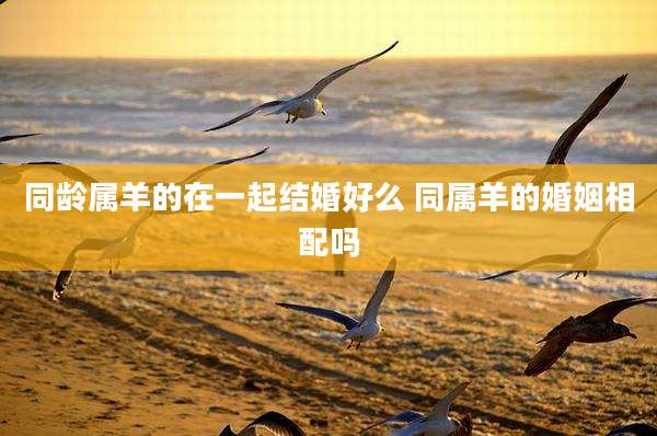 同龄属羊的在一起结婚好么 同属羊的婚姻相配吗