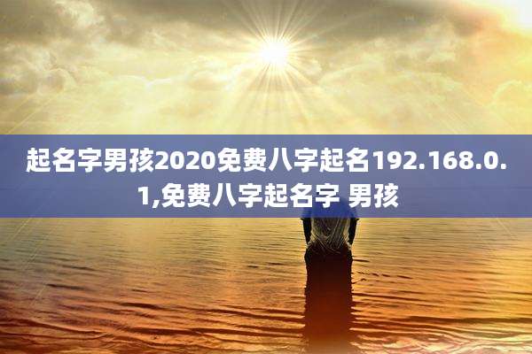 起名字男孩2020免费八字起名192.168.0.1,免费八字起名字 男孩