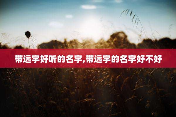 带远字好听的名字,带远字的名字好不好