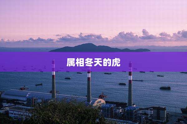 属相冬天的虎