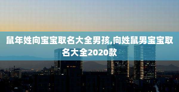 鼠年姓向宝宝取名大全男孩,向姓鼠男宝宝取名大全2020款
