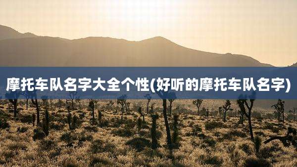 摩托车队名字大全个性(好听的摩托车队名字)