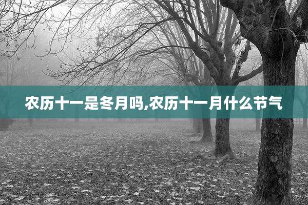 农历十一是冬月吗,农历十一月什么节气