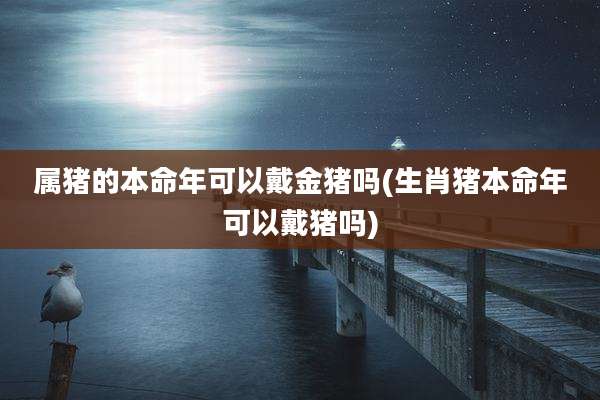 属猪的本命年可以戴金猪吗(生肖猪本命年可以戴猪吗)