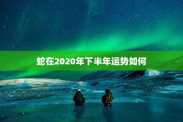 蛇在2020年下半年运势如何