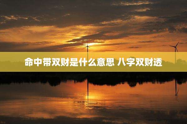 命中带双财是什么意思 八字双财透