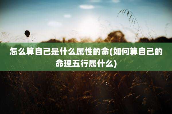怎么算自己是什么属性的命(如何算自己的命理五行属什么)