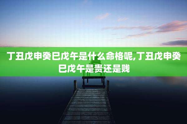 丁丑戊申癸巳戊午是什么命格呢,丁丑戊申癸巳戊午是贵还是贱