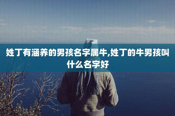 姓丁有涵养的男孩名字属牛,姓丁的牛男孩叫什么名字好