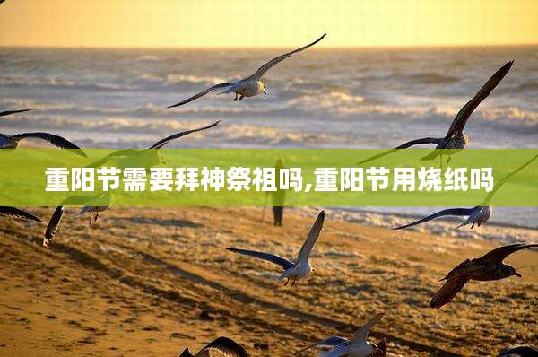 重阳节需要拜神祭祖吗,重阳节用烧纸吗