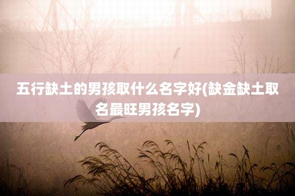 五行缺土的男孩取什么名字好(缺金缺土取名最旺男孩名字)