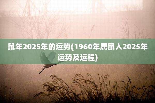 鼠年2025年的运势(1960年属鼠人2025年运势及运程)