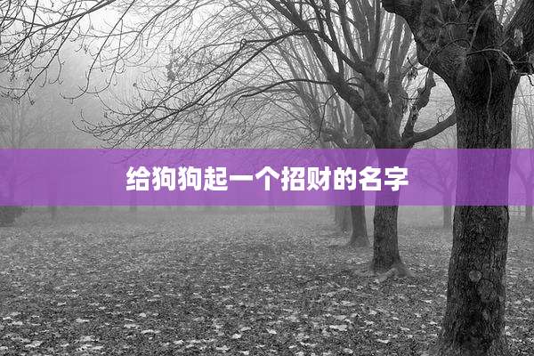 给狗狗起一个招财的名字