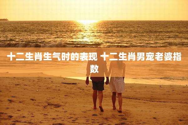 十二生肖生气时的表现 十二生肖男宠老婆指数