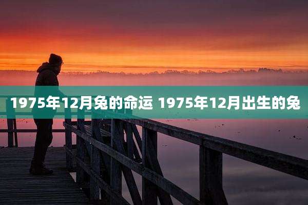 1975年12月兔的命运 1975年12月出生的兔