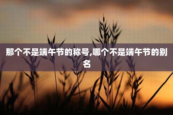 那个不是端午节的称号,哪个不是端午节的别名