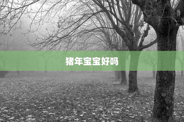 猪年宝宝好吗