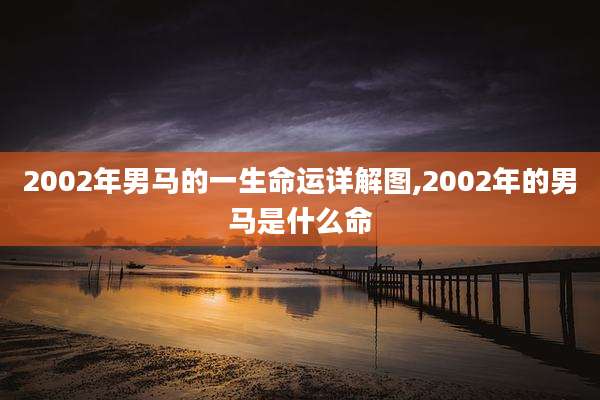 2002年男马的一生命运详解图,2002年的男马是什么命