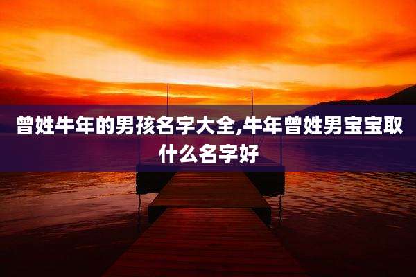 曾姓牛年的男孩名字大全,牛年曾姓男宝宝取什么名字好