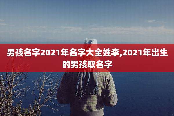 男孩名字2021年名字大全姓李,2021年出生的男孩取名字