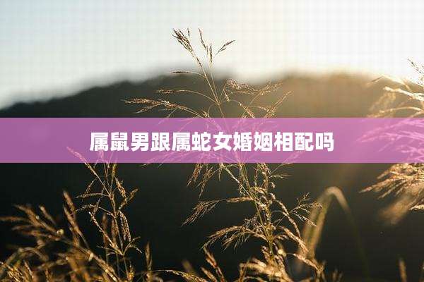属鼠男跟属蛇女婚姻相配吗