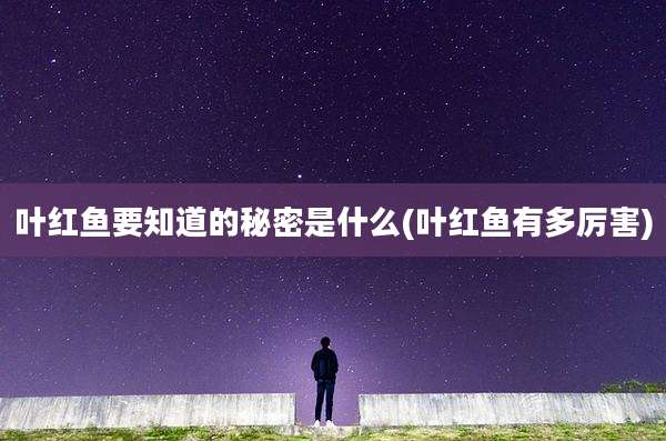 叶红鱼要知道的秘密是什么(叶红鱼有多厉害)